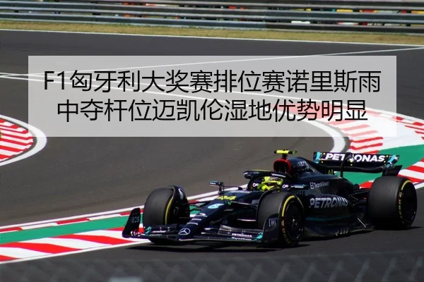 F1匈牙利大奖赛排位赛诺里斯雨中夺杆位迈凯伦湿地优势明显